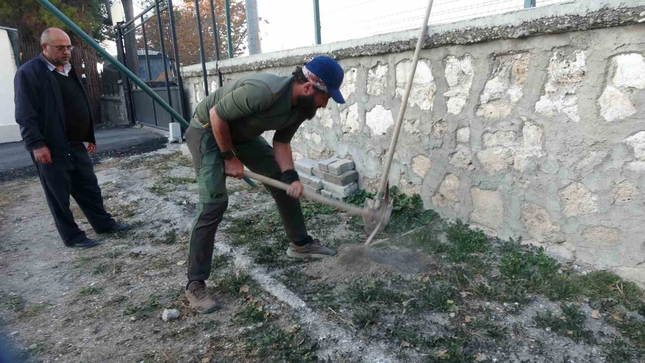 Köpeği ile birlikte tüm Türkiyeyi gezip fidan dikiyor