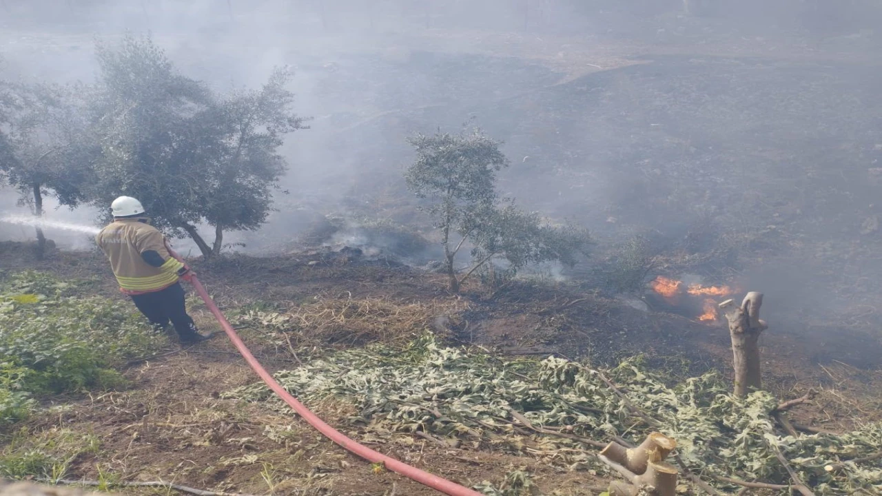 Kumluda bahçe yangını
