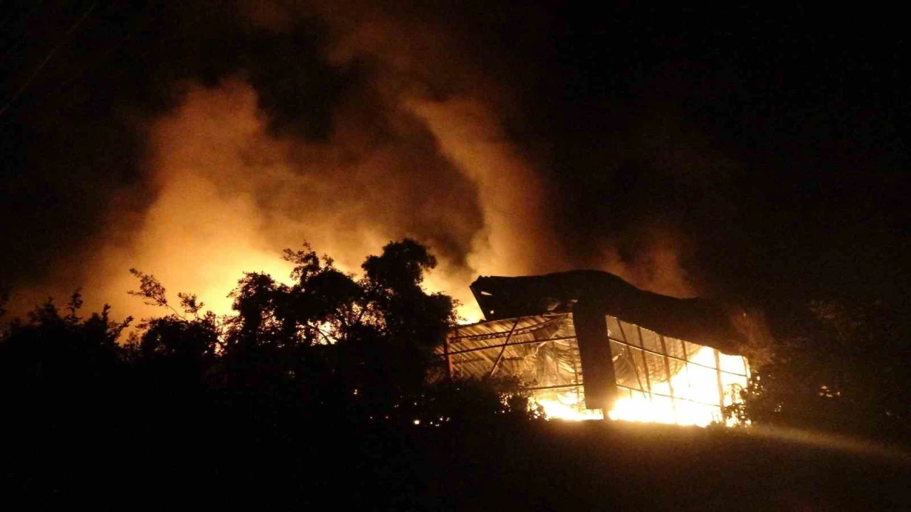 Kundakçı komşu hakim karşısına çıktı: Çok pişmanım savunması yaptı