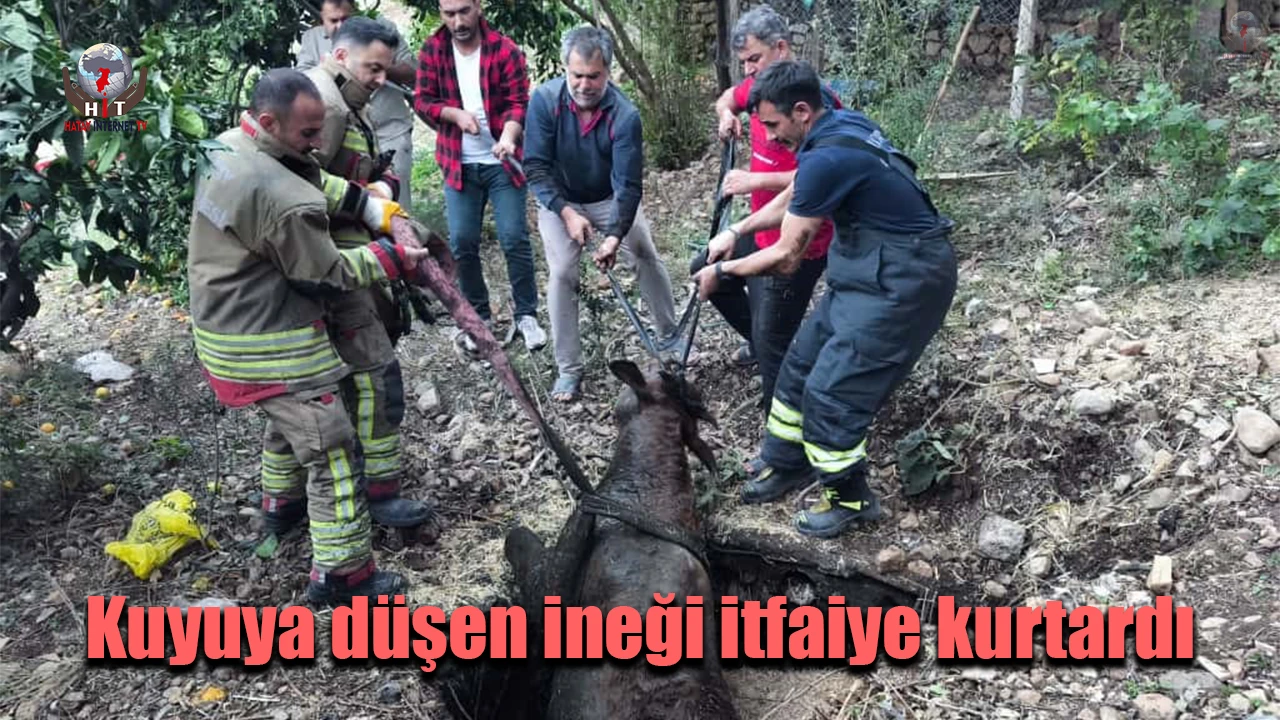 Kuyuya düşen ineği itfaiye kurtardı