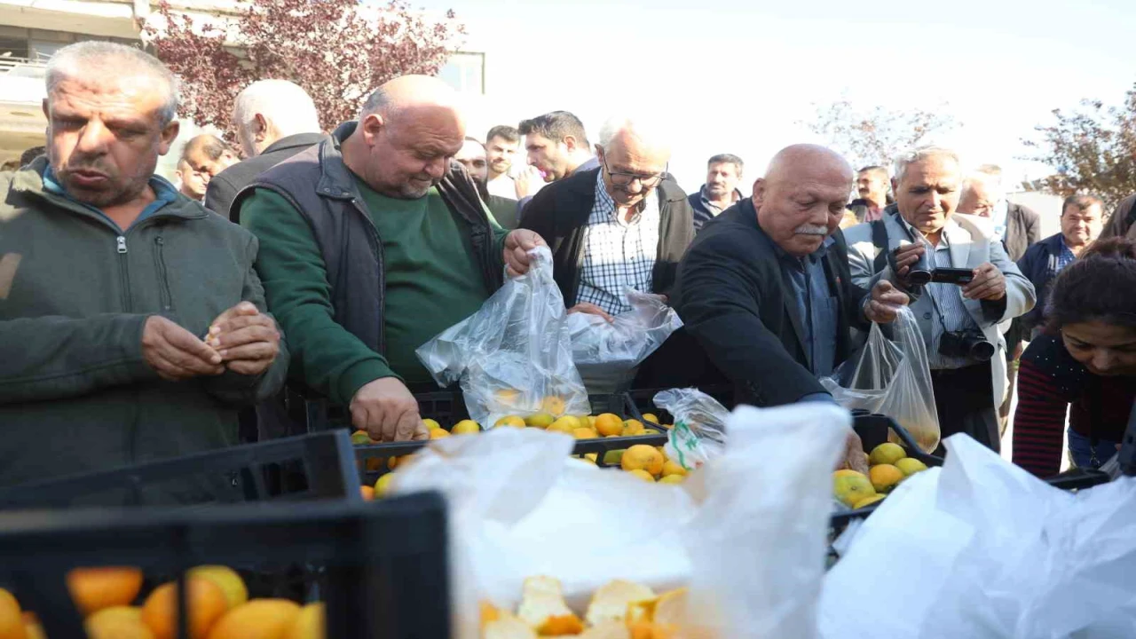 Mandalinanın fiyatı 2 TLye düşünce tonlarca ürünü vatandaşlara ücretsiz dağıttılar