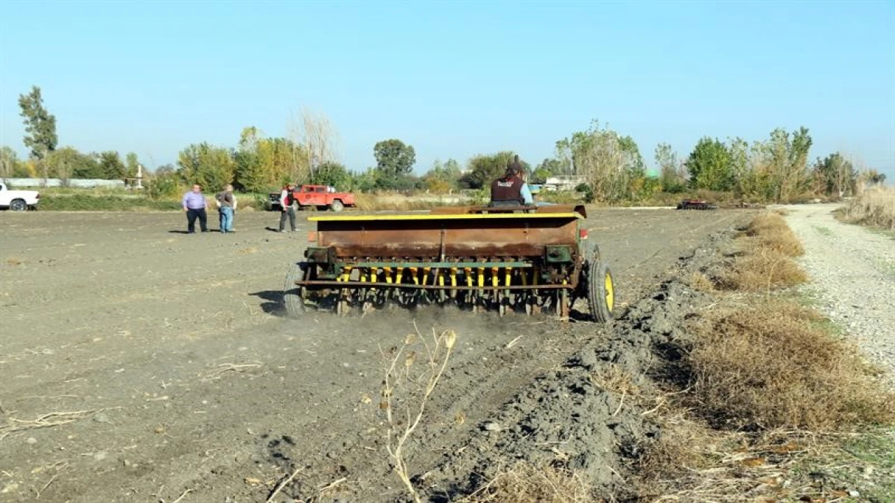 Mera alanları işgalden kurtarılıyor