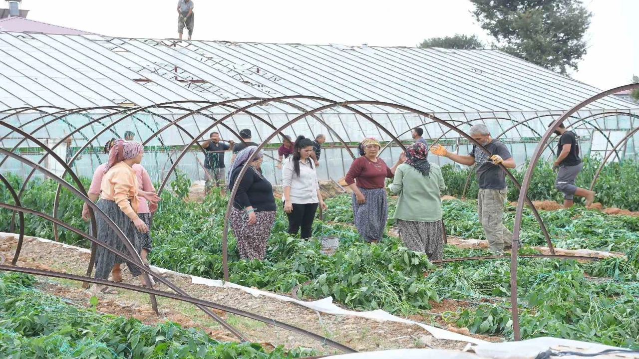 Mersinde fırtına ve hortum seralara zarar verdi