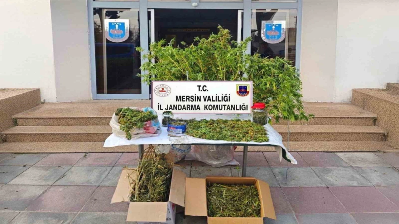 Mersinde kenevir ekip uyuşturucu üreten şüpheli tutuklandı