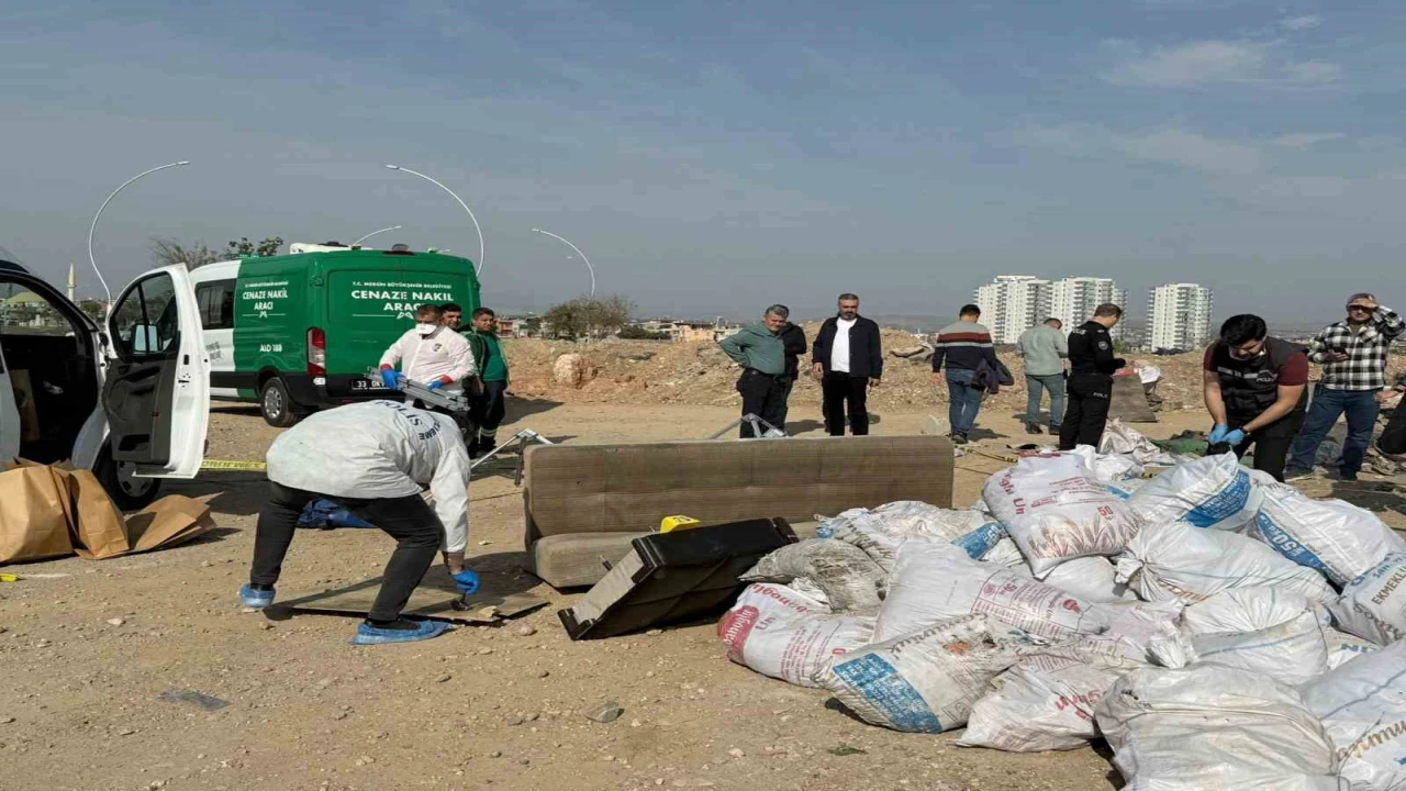 Mersinde korkunç cinayet: Öldürüp tuzlayıp halıya sarıp çekyatla atmışlar