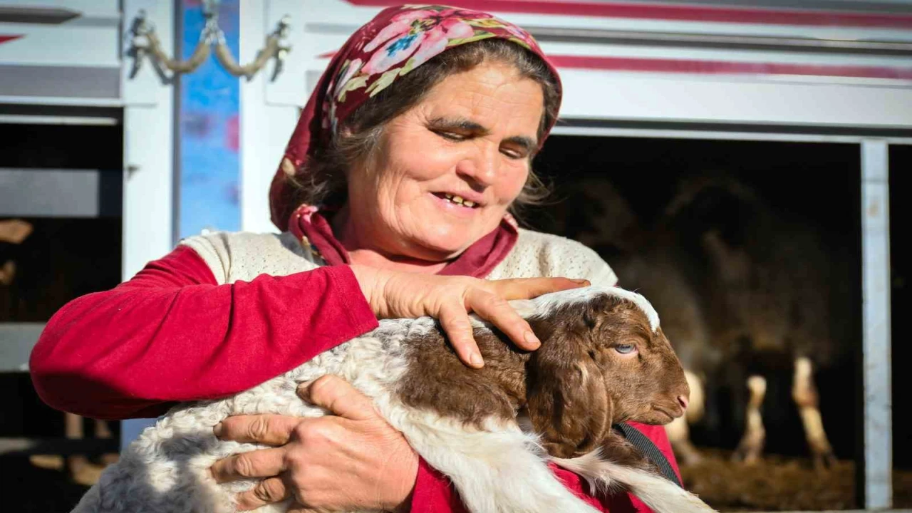 Mersinde yem ve küçükbaş desteği üreticiyi güçlendiriyor