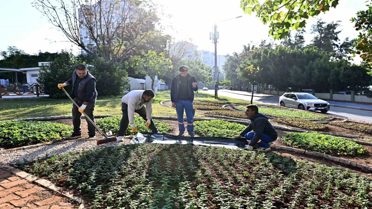 Muratpaşada Trafik Parkı çiçek bahçesine dönüştü