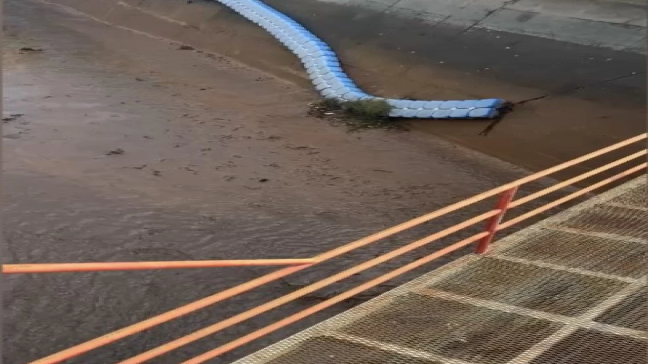 Osmaniyede baraj kapakları açıldı, yüzlerce balık telef oldu