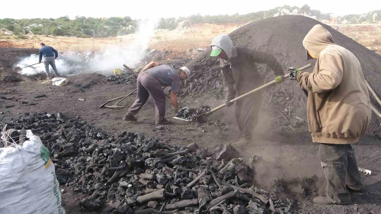 Torosların eteğinde zorlu kömür mesaisi