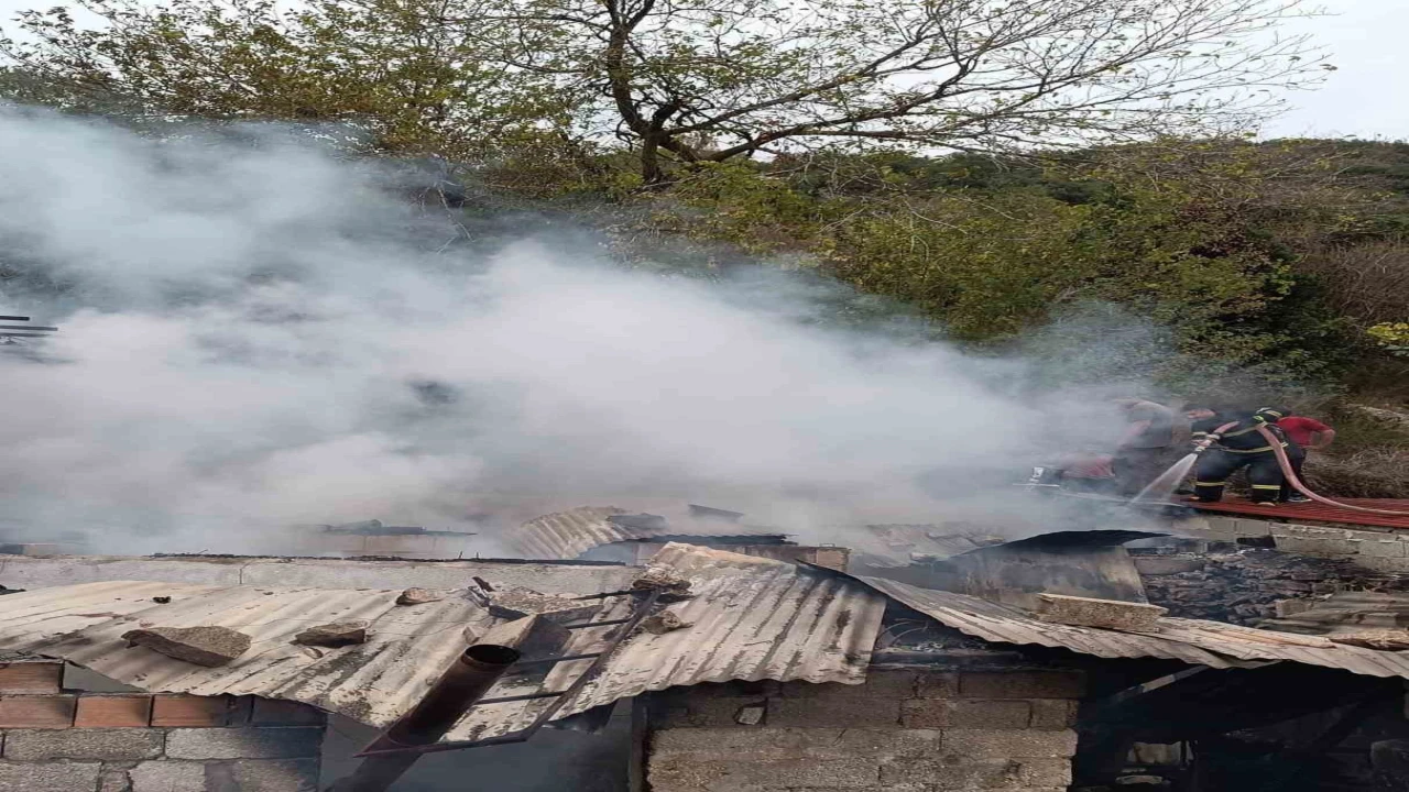 Yayladağında metruk ev yangını