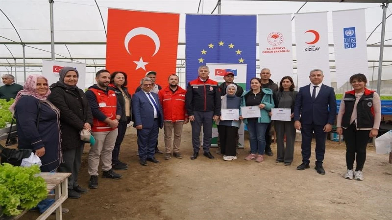 Adanada topraksız marul yetiştiriciliği başladı