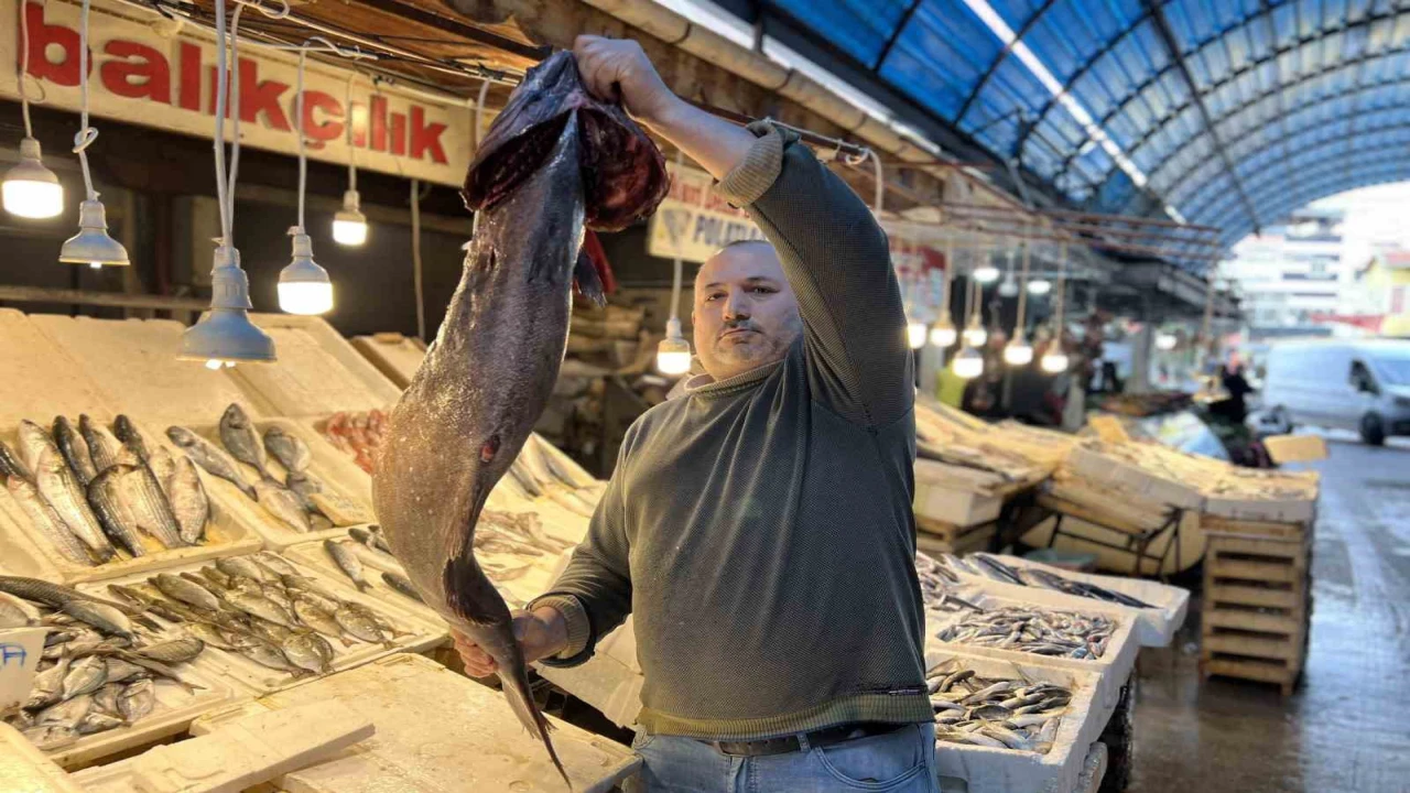 Akdenizde 1,5 metrelik Atlas balığı yakalandı