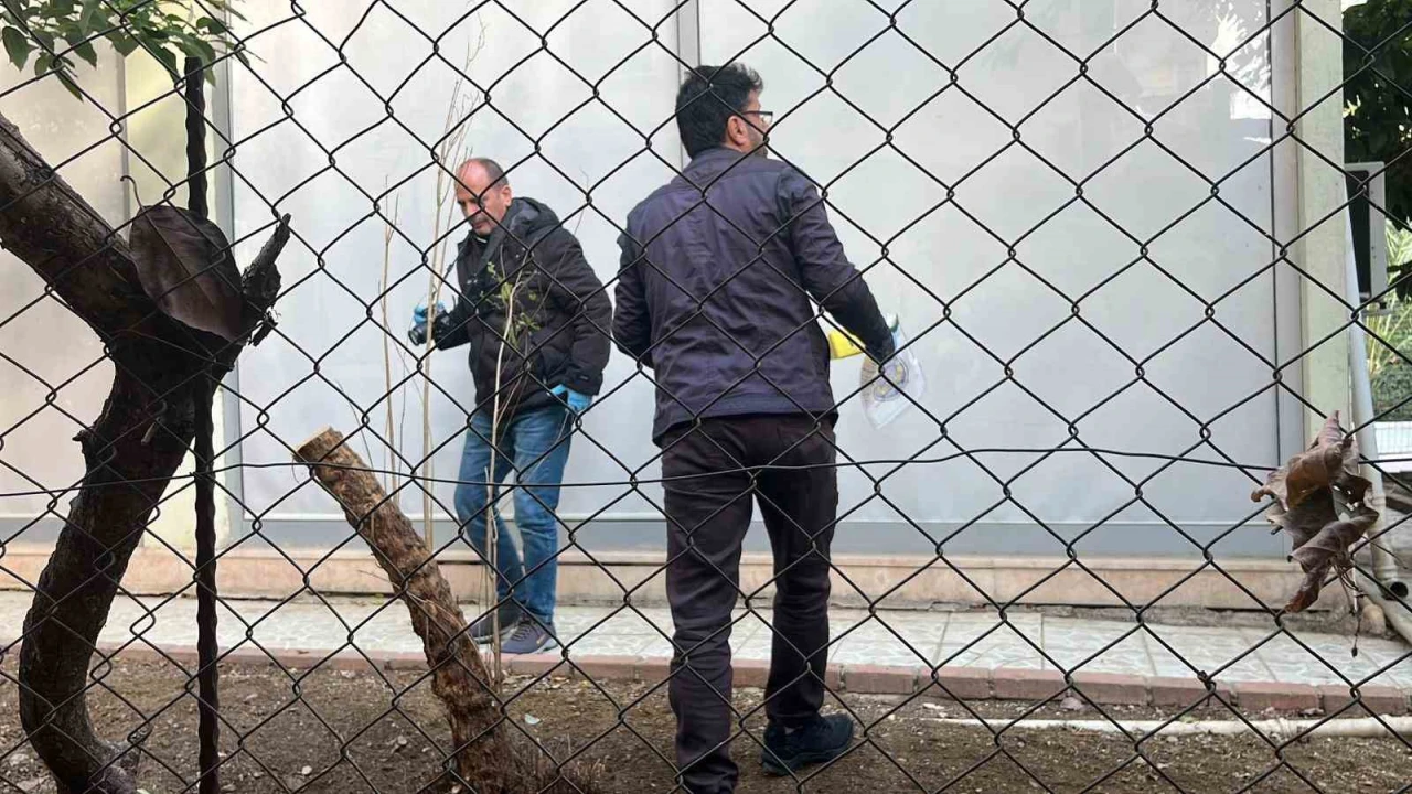 Alanyada alacak verecek meselesi kanlı bitti, 1 yaralı