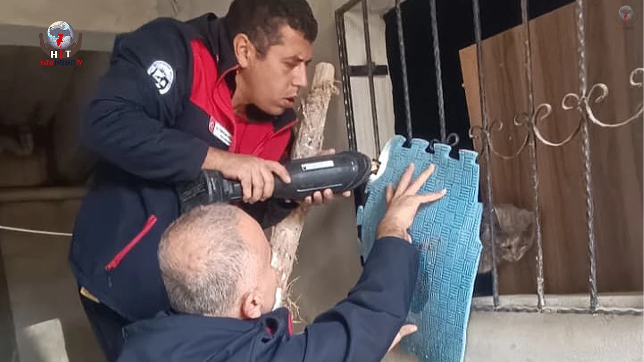 Antakyada kedi kurtarma operasyonu