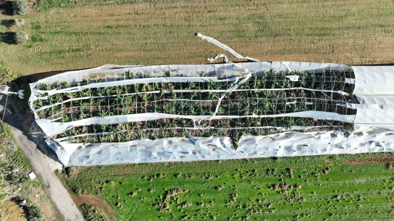 Antalyada hortumun seralara verdiği zararın boyutu gün yüzüne çıktı