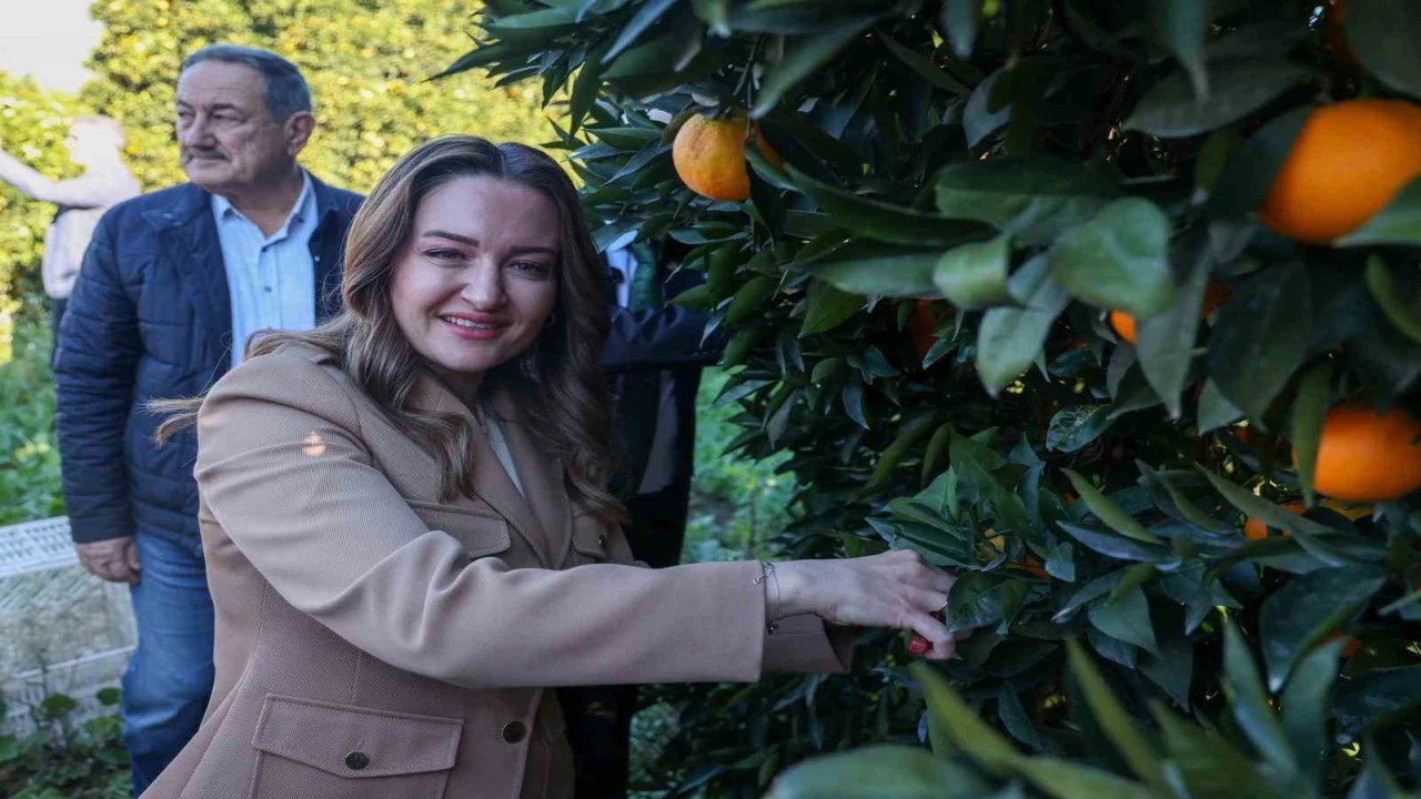 Başkan Vekili Özdemir: Finikenin ihtiyaçları doğrultusunda çalışmalarımızı yapıyoruz