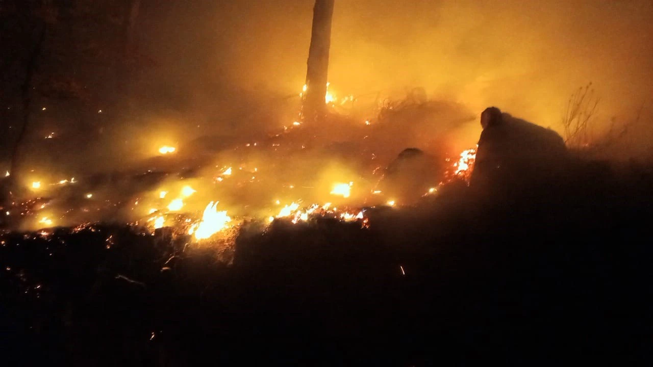 Bozyazıda çıkan orman yangını kontrol altına alındı