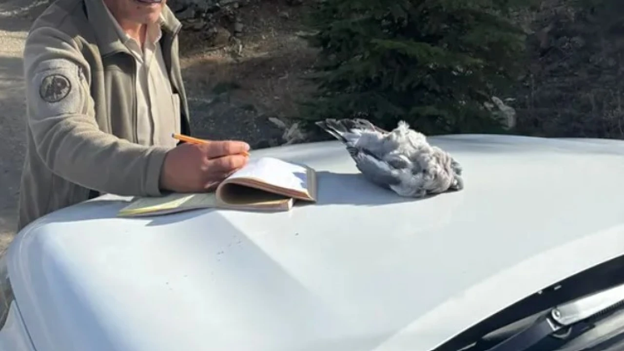 Burdurda kaçak avcılar ekiplere yakalandı