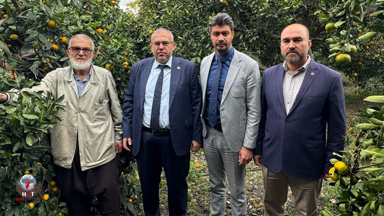 ÇALIŞKAN: MİLLİ NARENCİYE POLİTİKASI ŞART