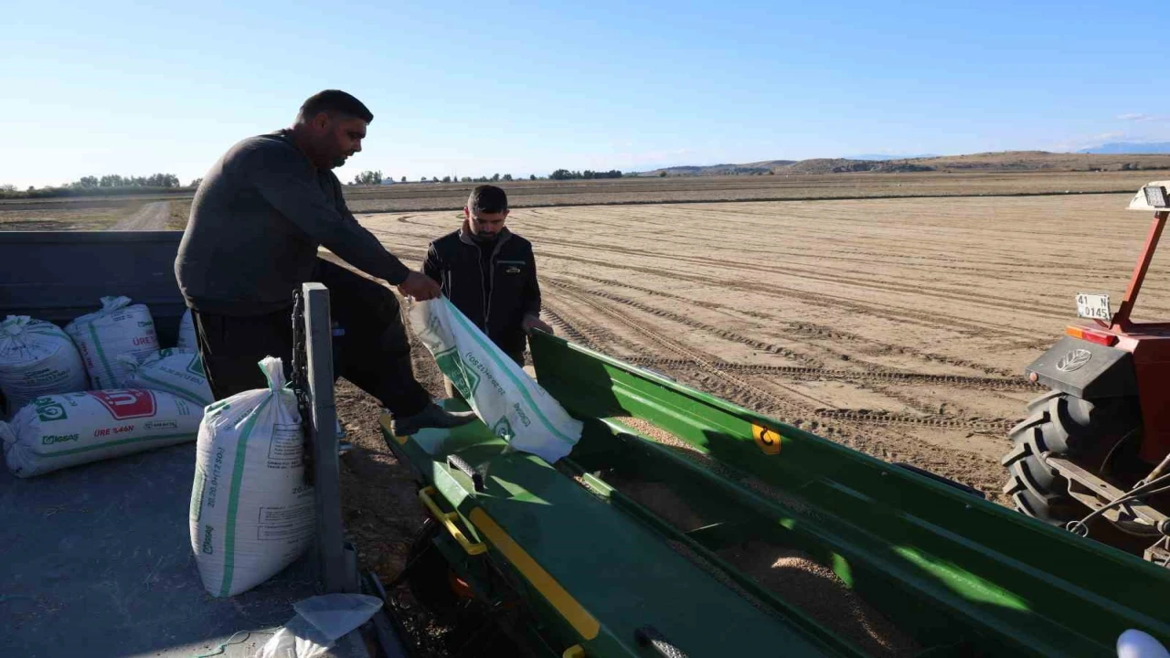 Çukurovada buğday ekimi başladı