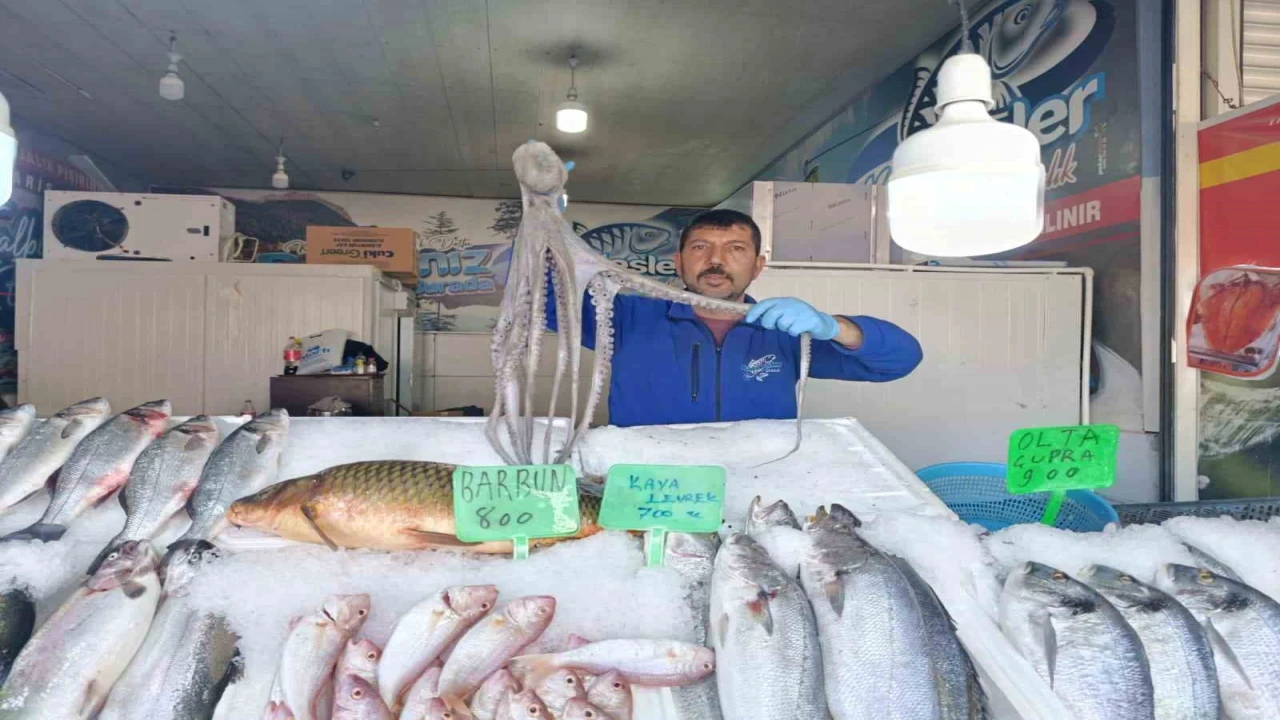 Denize kıyısı olmayan Kahramanmaraşta balığa yoğun ilgi