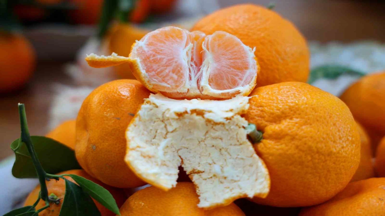 En ucuz meyve mandalina: Dalında 3, pazarda 5 lira