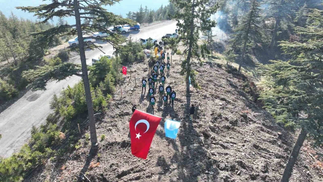 Fekede bir ton tohum toprakla buluştu