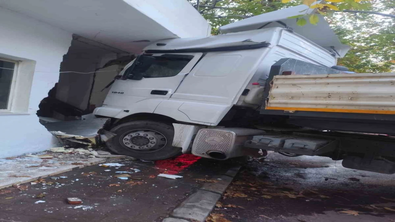 Freni boşalan tır, direk ve otomobile ardından fırına çarptı: 5 keçi telef oldu