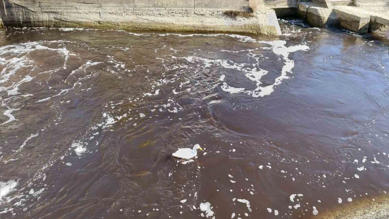 Göksu siyah akmaya başladı, akıllara 3 yıl önceki hadise geldi