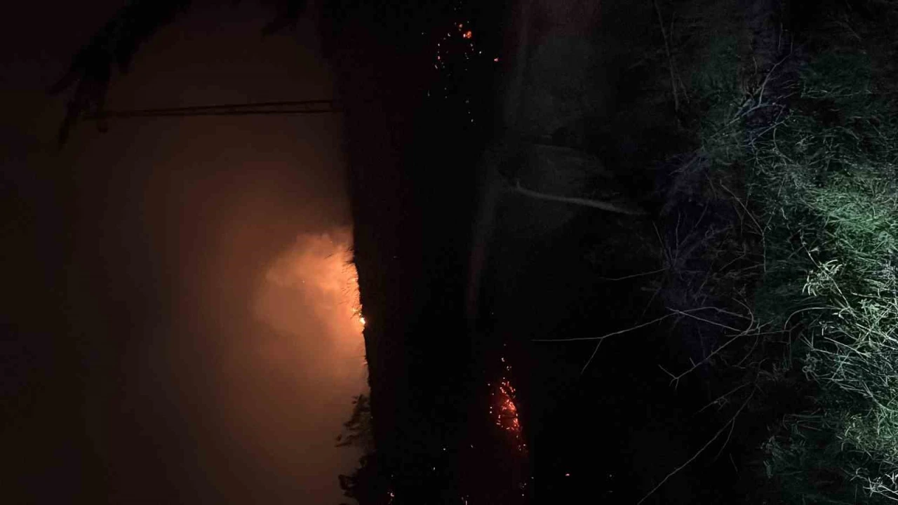 Hatayda çıkan otluk yangını söndürüldü