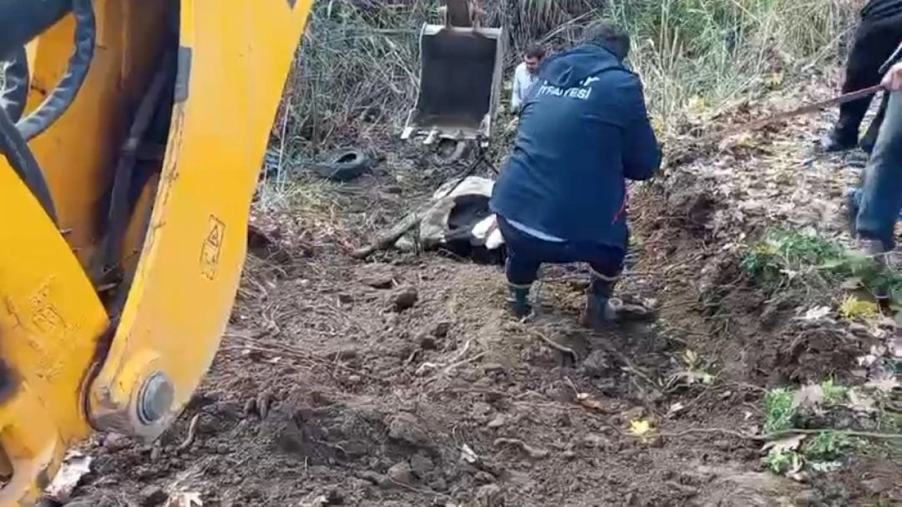 Hatayda dereye düşen inek itfaiye ekipleri tarafından kurtarıldı