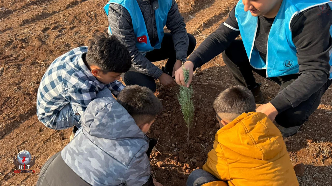 Hatay’da Ülkücüler Alparslan Türkeş’in anısına 108 fidan dikti