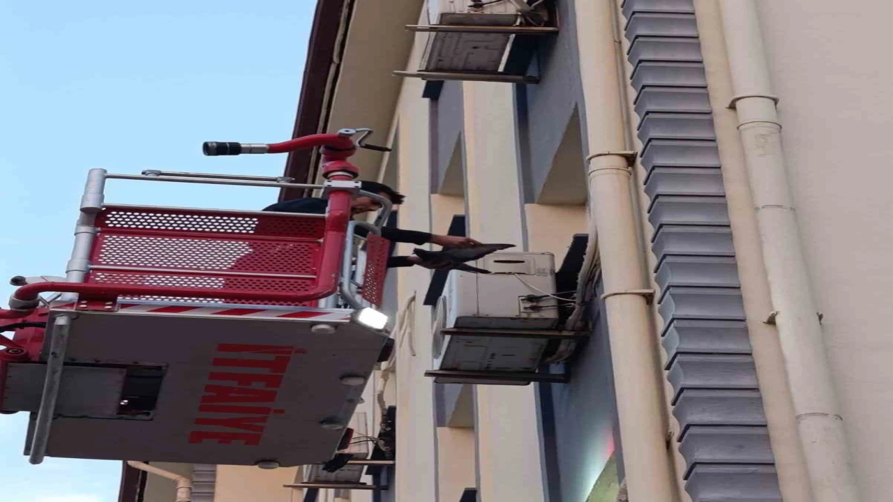 İskenderunda klima motoruna dolaşan kuş kurtarıldı