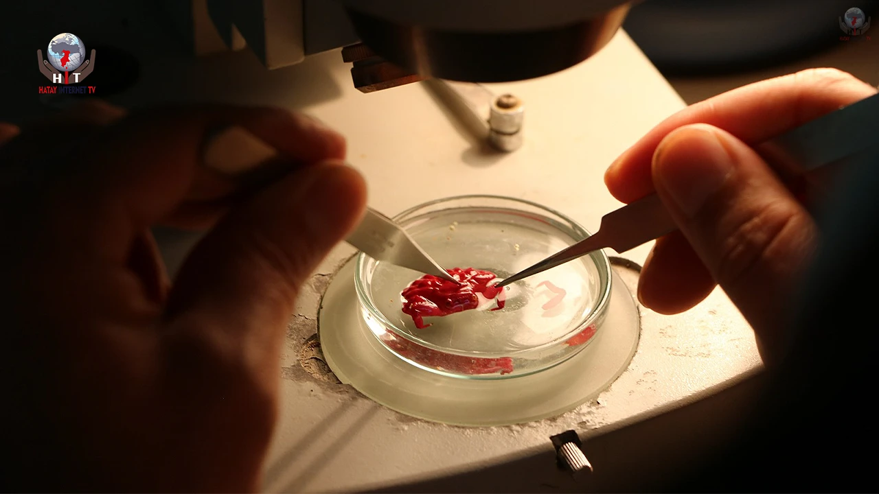 İSTE’DE YENİ YENGEÇ TÜRÜ TESPİT EDİLDİ