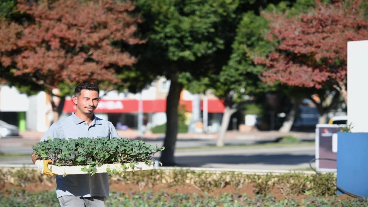 Konyaaltında mevsimlik çiçek ekimi