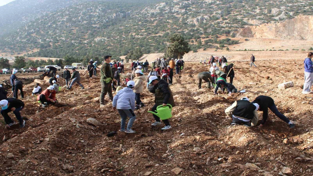 Korkutelinde 3 bin fidan toprakla buluştu