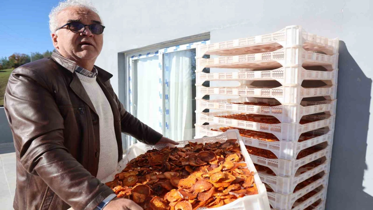 Köyde kurulan tesisle kurutulan cennet hurmaları Almanyaya ihraç edildi