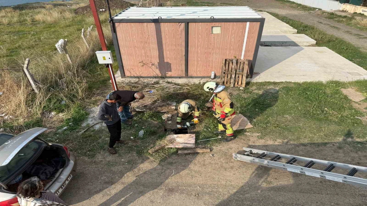 Kuyuya düşen koyunu itfaiye kurtardı