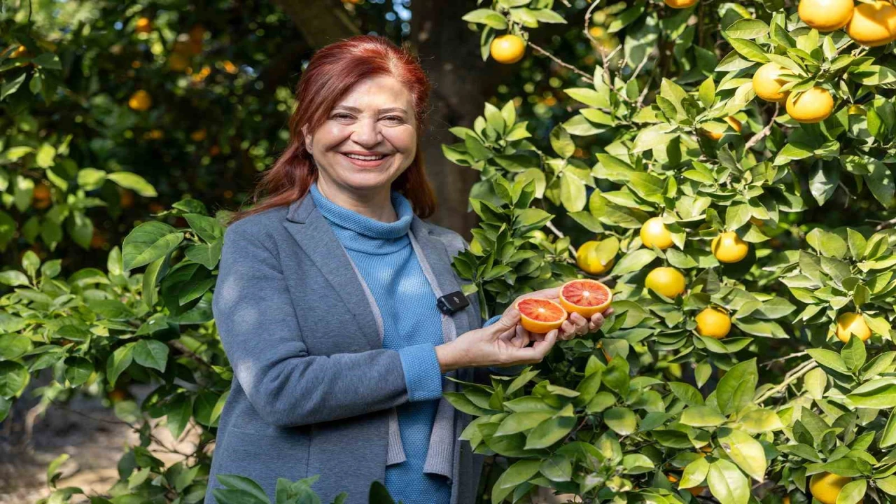 Mersin kan portakalında hedef AB tescili