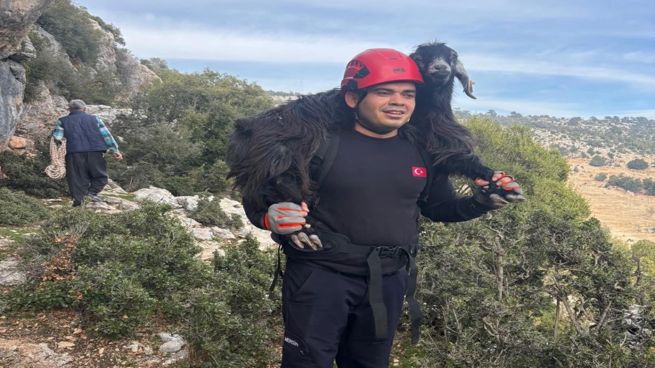 Mersinde kayalıklarda mahsur kalan 2 keçi itfaiye ekiplerince kurtarıldı