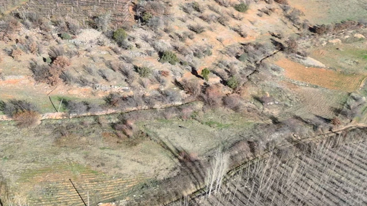 Nurhakta yaban domuzu avı yapıldı