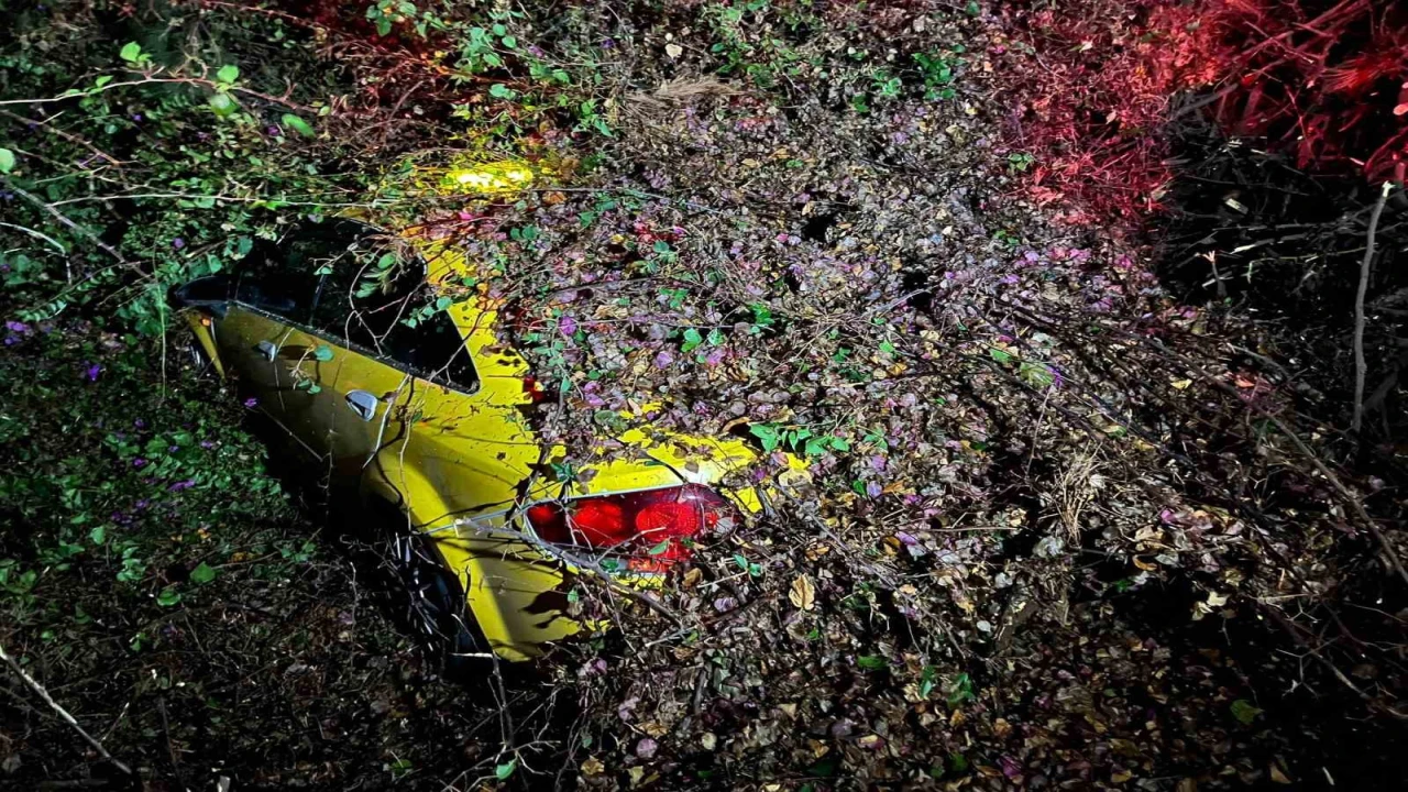 Sürücüsünün içinde olduğu otomobilin üzerine ağaç devrildi