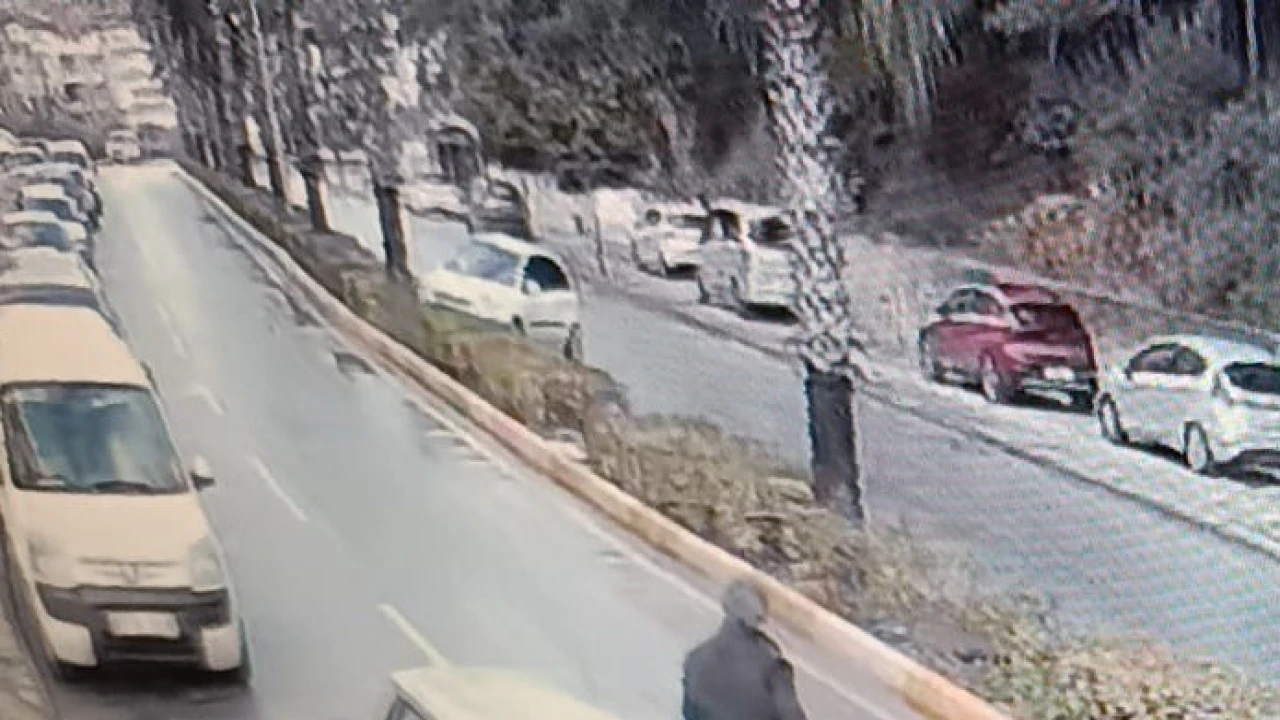 Antalyada virajı alamadı, palmiye ağacına çarptı