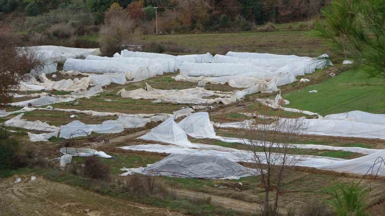Antalyadaki hortum anı kamerada: Konteynerler savruldu, araç gitmekte zorlandı