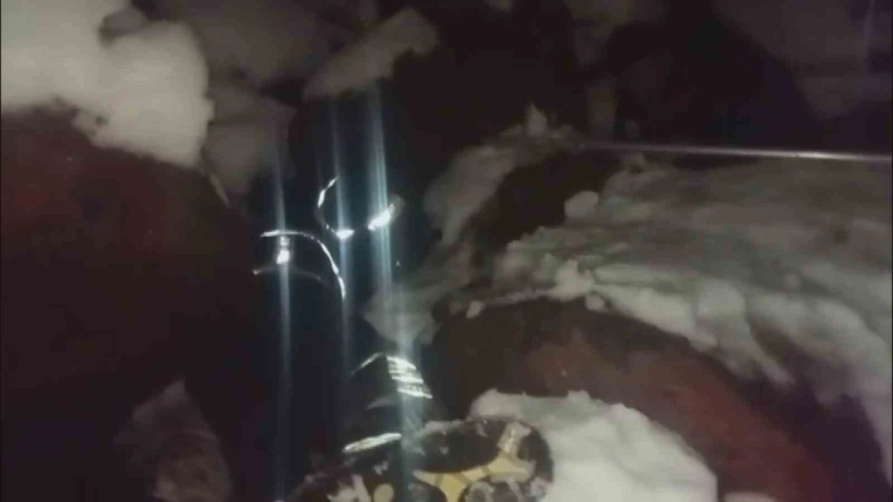 Dondurucu soğukta ölümü bekleyen yavru köpekleri itfaiye kurtardı