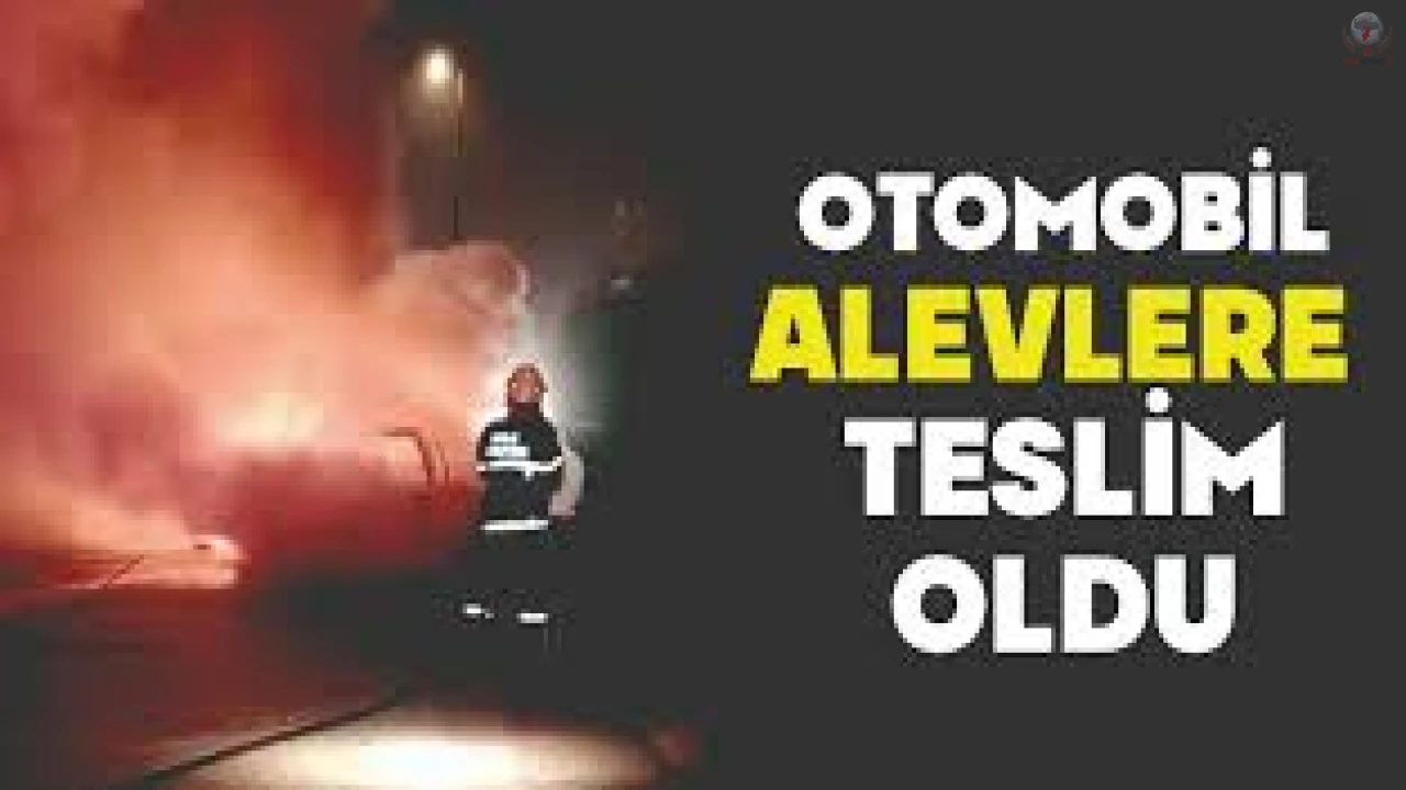 Hatayda otomobil alevlere teslim oldu