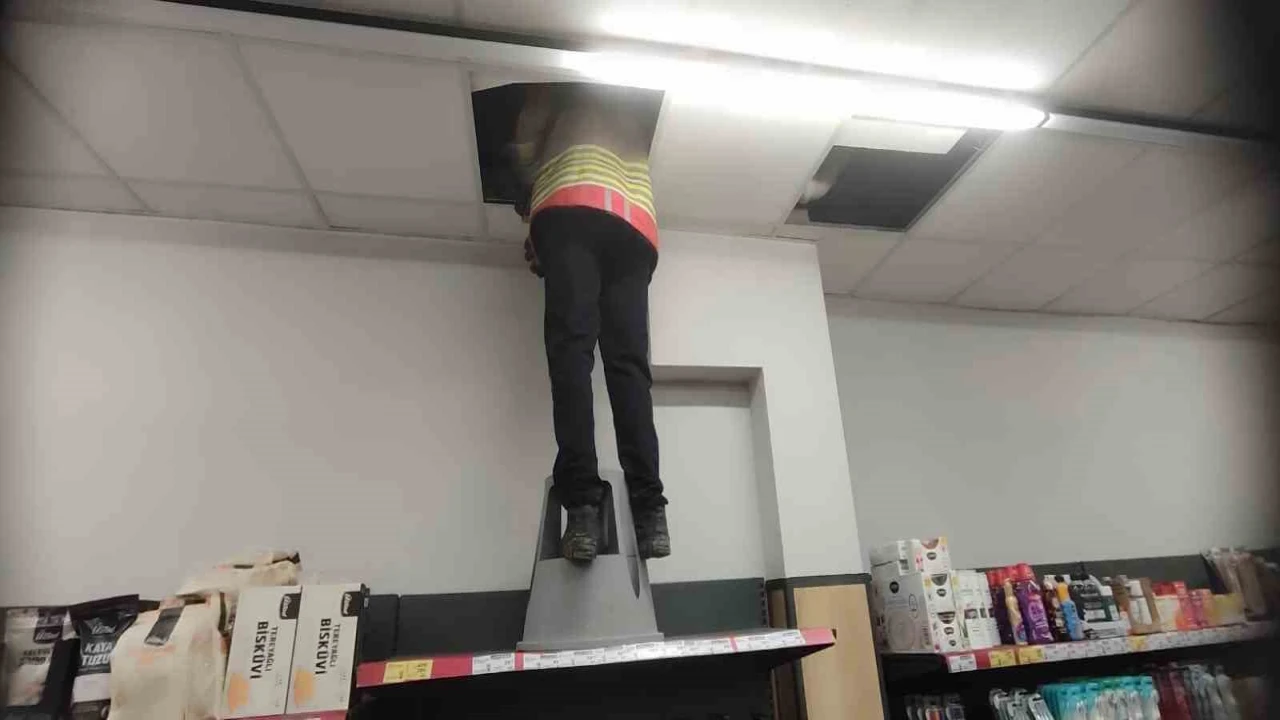 Havalandırma boşluğunda mahsur kalan kediyi itfaiye kurtardı