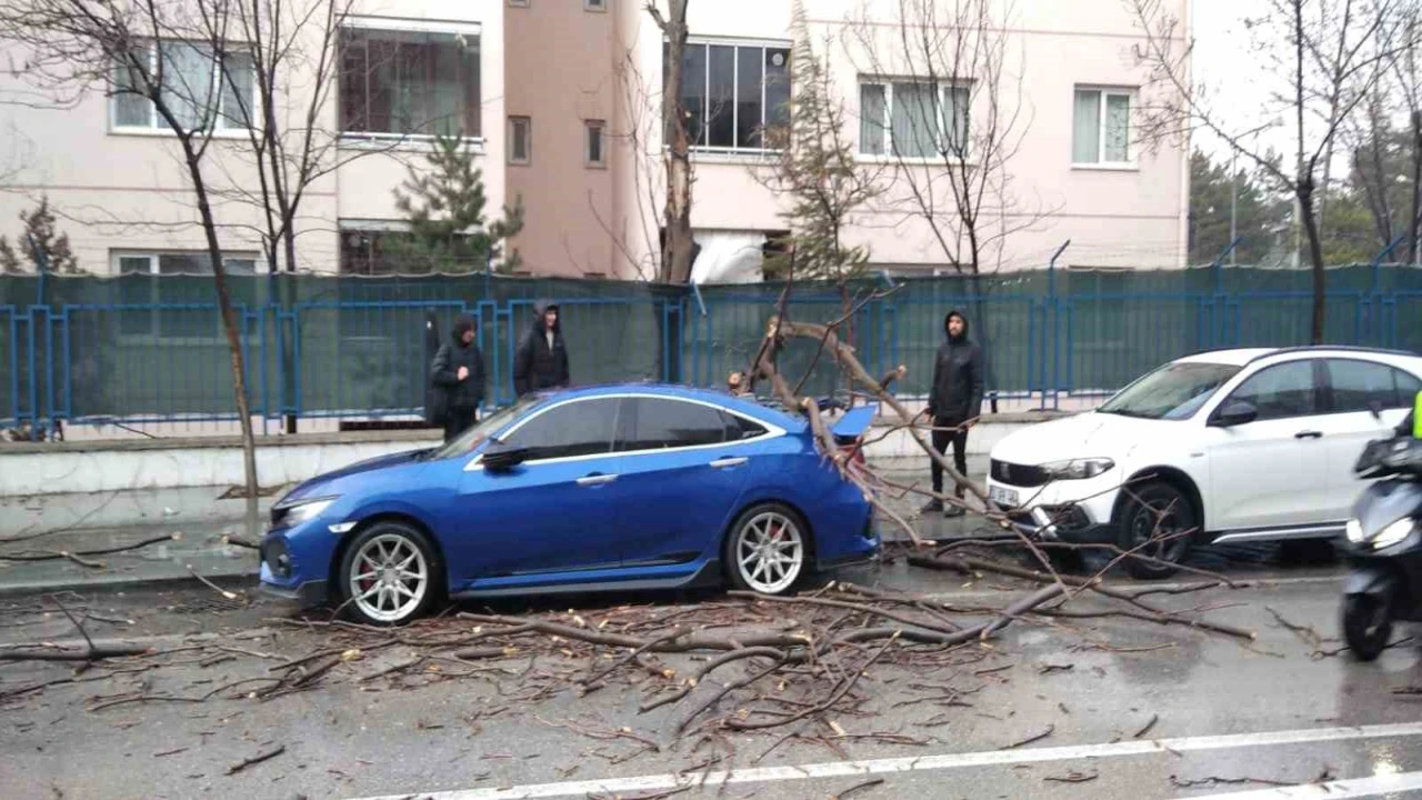 Ispartada fırtına ağaçları devirdi, araçlar hasar gördü