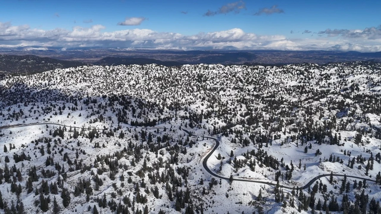 Mersinde karla kaplanan ormanlık alandan kartpotallık görüntüler