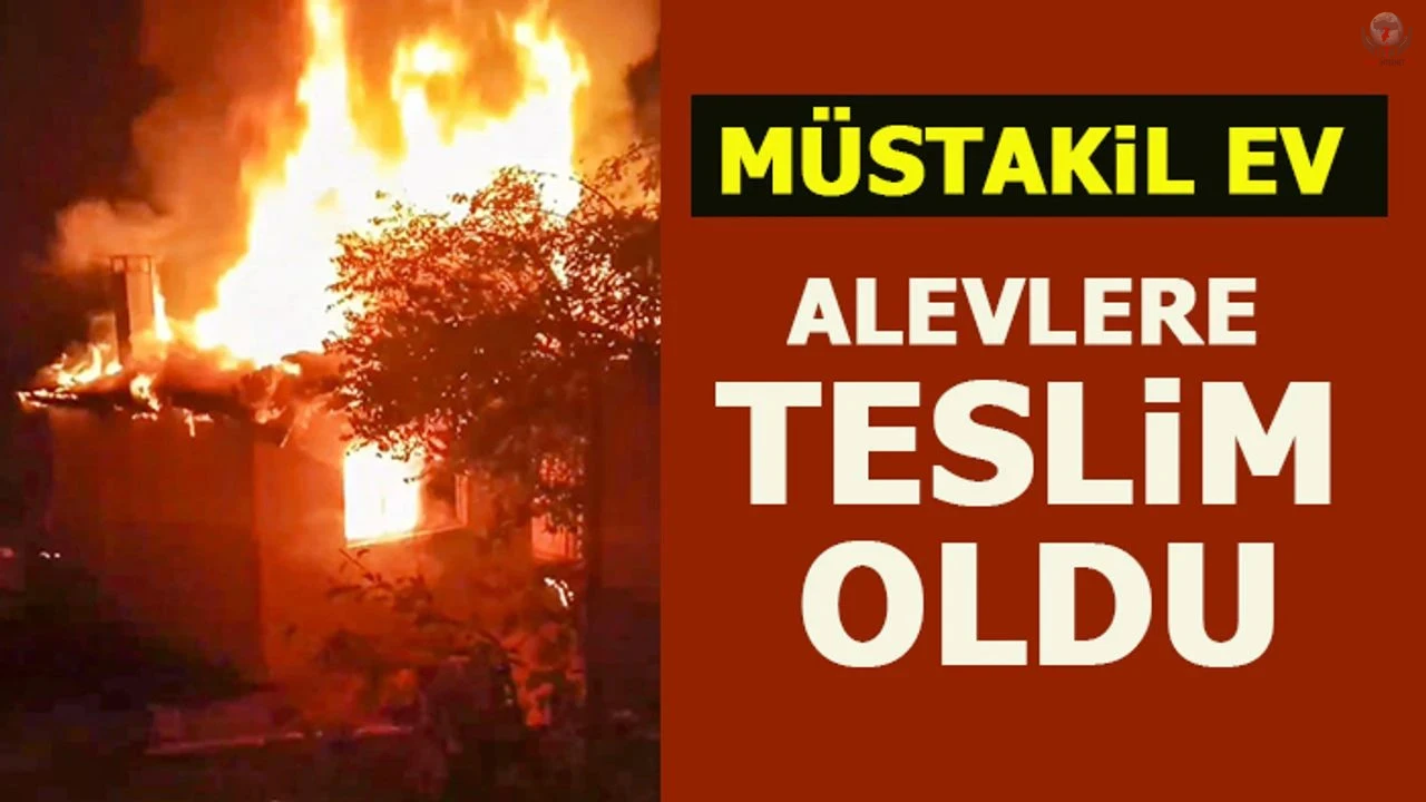 Müstakil ev alevlere teslim oldu